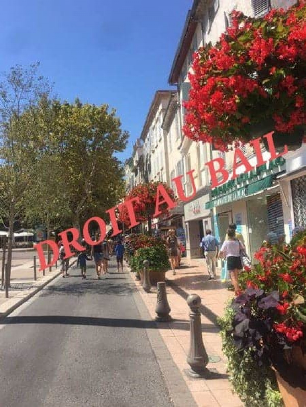 Vente Immobilier Professionnel Local commercial Antibes 06600