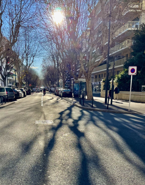 Location Immobilier Professionnel Local commercial Antibes 06600